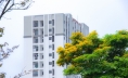 Có những buổi sáng, bước chân ta như chậm lại trên những lối nhỏ quanh đô thị